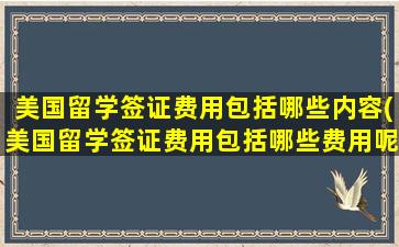 美国留学签证费用包括哪些内容(美国留学签证费用包括哪些费用呢)