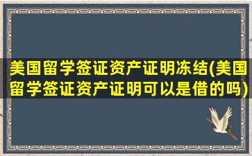 美国留学签证资产证明冻结(美国留学签证资产证明可以是借的吗)