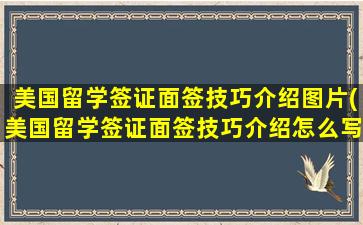 美国留学签证面签技巧介绍图片(美国留学签证面签技巧介绍怎么写)