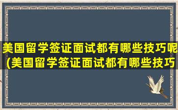 美国留学签证面试都有哪些技巧呢(美国留学签证面试都有哪些技巧知乎)