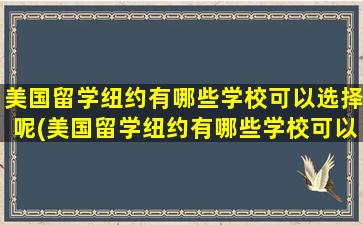 美国留学纽约有哪些学校可以选择呢(美国留学纽约有哪些学校可以选择呢英语)