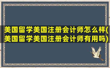 美国留学美国注册会计师怎么样(美国留学美国注册会计师有用吗)