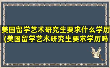 美国留学艺术研究生要求什么学历(美国留学艺术研究生要求学历吗)