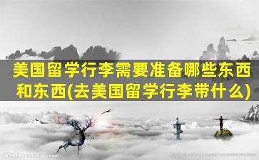 美国留学行李需要准备哪些东西和东西(去美国留学行李带什么)