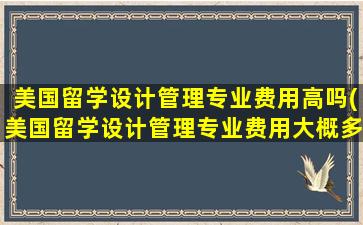 美国留学设计管理专业费用高吗(美国留学设计管理专业费用大概多少)