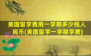 美国留学费用一学期多少钱人民币(美国留学一学期学费)