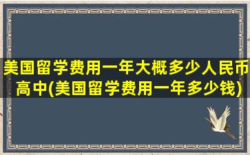 美国留学费用一年大概多少人民币高中(美国留学费用一年多少钱)