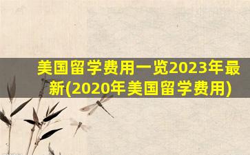 美国留学费用一览2023年最新(2020年美国留学费用)