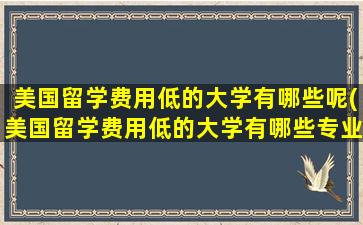 美国留学费用低的大学有哪些呢(美国留学费用低的大学有哪些专业)