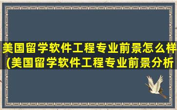 美国留学软件工程专业前景怎么样(美国留学软件工程专业前景分析)