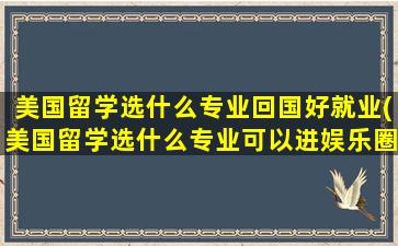 美国留学选什么专业回国好就业(美国留学选什么专业可以进娱乐圈)