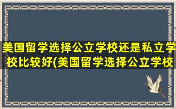 美国留学选择公立学校还是私立学校比较好(美国留学选择公立学校还是私立学校呢)