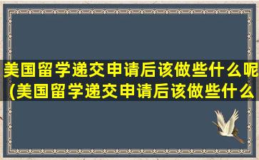 美国留学递交申请后该做些什么呢(美国留学递交申请后该做些什么工作)