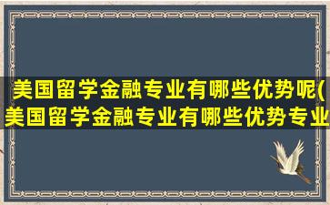 美国留学金融专业有哪些优势呢(美国留学金融专业有哪些优势专业)