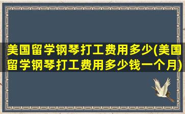 美国留学钢琴打工费用多少(美国留学钢琴打工费用多少钱一个月)