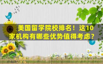 美国留学院校排名！这10家机构有哪些优势值得考虑？