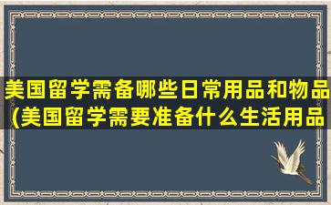 美国留学需备哪些日常用品和物品(美国留学需要准备什么生活用品)