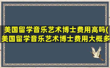 美国留学音乐艺术博士费用高吗(美国留学音乐艺术博士费用大概多少)