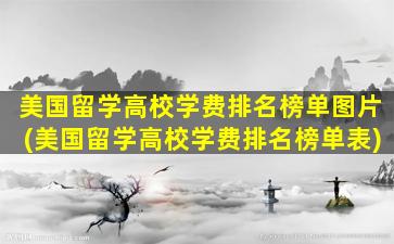 美国留学高校学费排名榜单图片(美国留学高校学费排名榜单表)