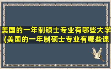 美国的一年制硕士专业有哪些大学(美国的一年制硕士专业有哪些课程)