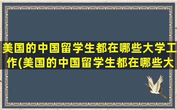 美国的中国留学生都在哪些大学工作(美国的中国留学生都在哪些大学上课)