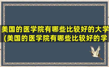 美国的医学院有哪些比较好的大学(美国的医学院有哪些比较好的学校)