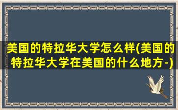 美国的特拉华大学怎么样(美国的特拉华大学在美国的什么地方-)