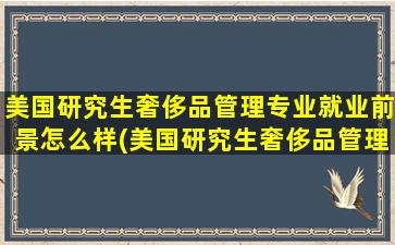 美国研究生奢侈品管理专业就业前景怎么样(美国研究生奢侈品管理专业就业前景分析)