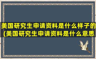 美国研究生申请资料是什么样子的(美国研究生申请资料是什么意思)