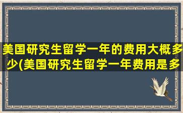 美国研究生留学一年的费用大概多少(美国研究生留学一年费用是多少钱)