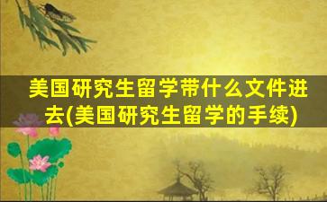 美国研究生留学带什么文件进去(美国研究生留学的手续)