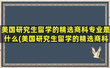 美国研究生留学的精选商科专业是什么(美国研究生留学的精选商科专业怎么样)