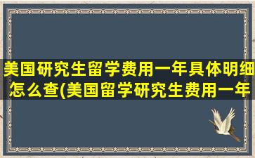 美国研究生留学费用一年具体明细怎么查(美国留学研究生费用一年大概多少人民币)