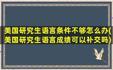 美国研究生语言条件不够怎么办(美国研究生语言成绩可以补交吗)