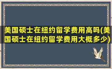 美国硕士在纽约留学费用高吗(美国硕士在纽约留学费用大概多少)