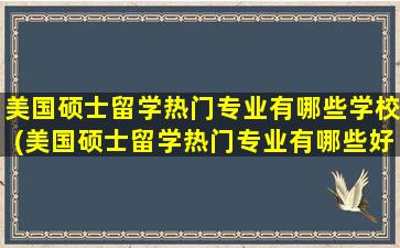 美国硕士留学热门专业有哪些学校(美国硕士留学热门专业有哪些好)