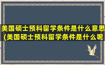 美国硕士预科留学条件是什么意思(美国硕士预科留学条件是什么呢)