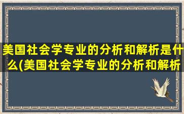 美国社会学专业的分析和解析是什么(美国社会学专业的分析和解析)