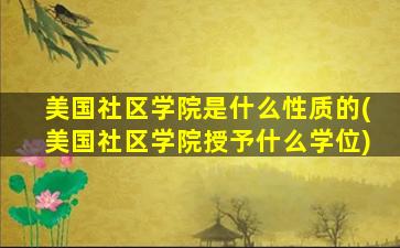 美国社区学院是什么性质的(美国社区学院授予什么学位)