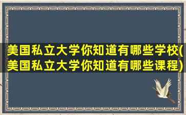 美国私立大学你知道有哪些学校(美国私立大学你知道有哪些课程)