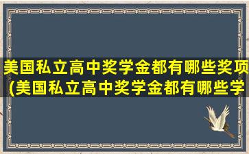 美国私立高中奖学金都有哪些奖项(美国私立高中奖学金都有哪些学校)