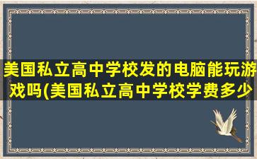 美国私立高中学校发的电脑能玩游戏吗(美国私立高中学校学费多少)