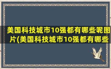 美国科技城市10强都有哪些呢图片(美国科技城市10强都有哪些呢)