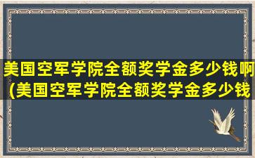 美国空军学院全额奖学金多少钱啊(美国空军学院全额奖学金多少钱一个月)