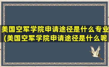 美国空军学院申请途径是什么专业(美国空军学院申请途径是什么呢)