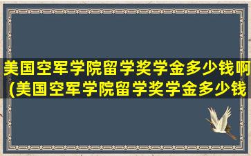 美国空军学院留学奖学金多少钱啊(美国空军学院留学奖学金多少钱一个月)