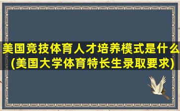 美国竞技体育人才培养模式是什么(美国大学体育特长生录取要求)