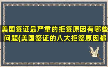 美国签证最严重的拒签原因有哪些问题(美国签证的八大拒签原因都有哪些)