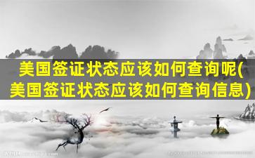 美国签证状态应该如何查询呢(美国签证状态应该如何查询信息)