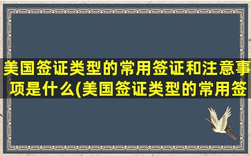 美国签证类型的常用签证和注意事项是什么(美国签证类型的常用签证和注意事项包括)